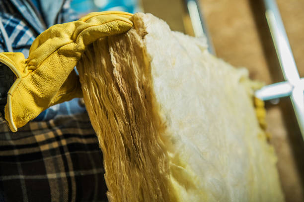 Best Fiberglass Insulation  in Plainsboro Center, NJ