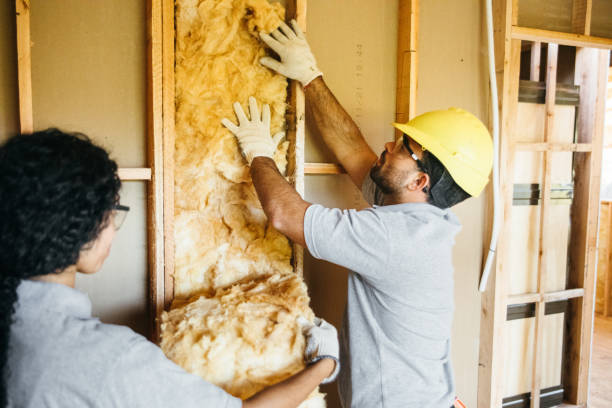 Best Spray Foam Insulation  in Plainsboro Center, NJ